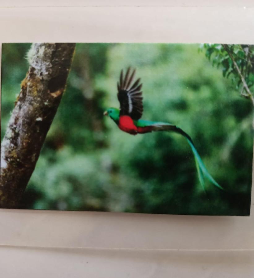 プレヤデルカーメンQuetzalアパートメント エクステリア 写真